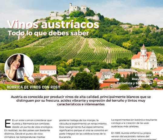 buengusteros n 31 vinos austriacos
