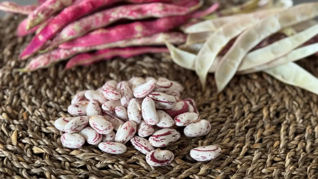 como cocinar frijoles frescos