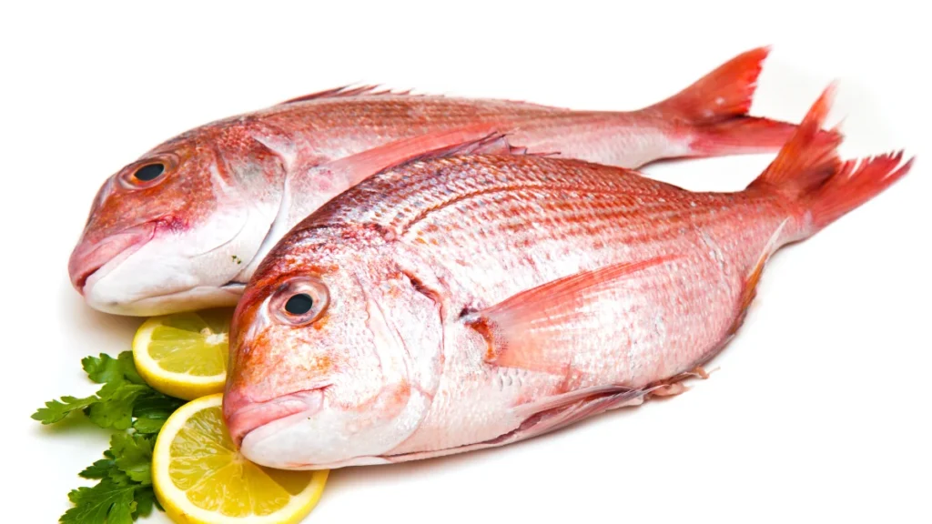 Pescado besugo o Pezzogna