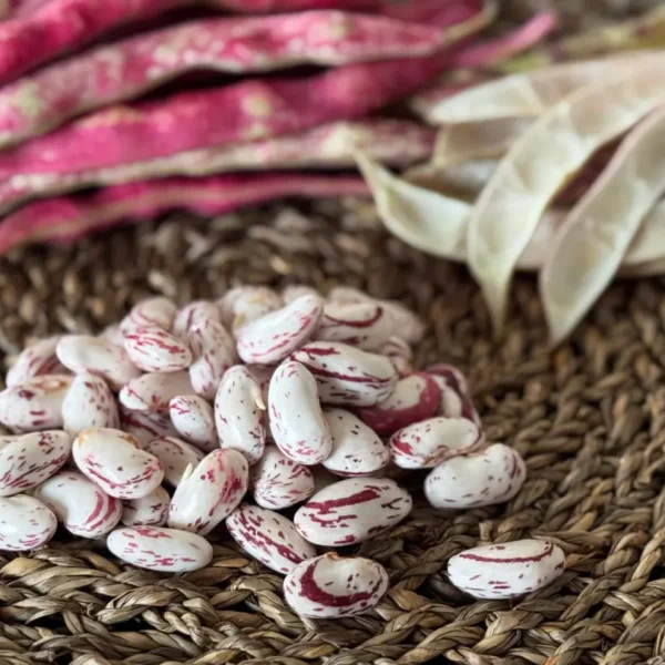 Como cocinar frijoles frescos