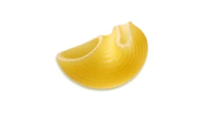 Conchiglie pasta