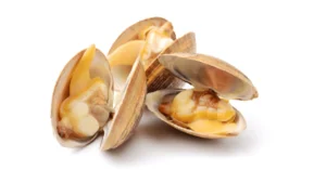 almejas