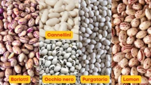principales variedades de frijoles italianos